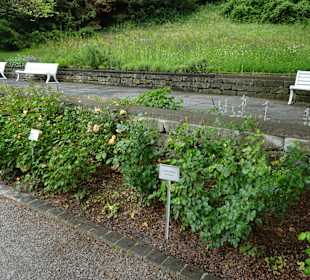 Stadtrundgang Überlingen