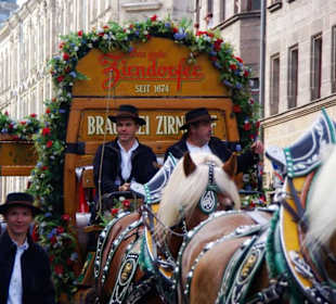 Brauerei Zirndorf 6er Span