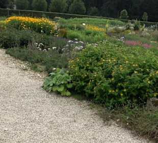 ALB-GOLD Naturgarten