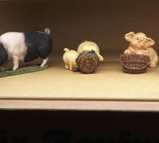 SchweineMuseum
