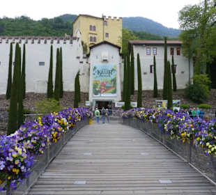 Übergang zum Schloss