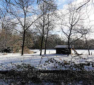Winterspaziergang durch den Bürgerpark