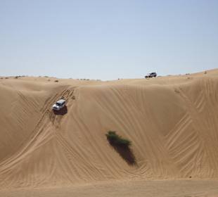 Die Dünen rauf und runter