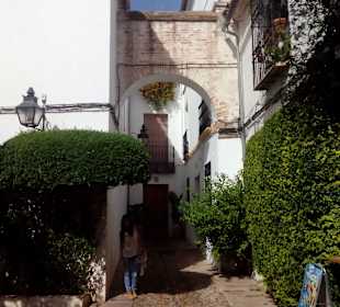 Calleja de las Flores