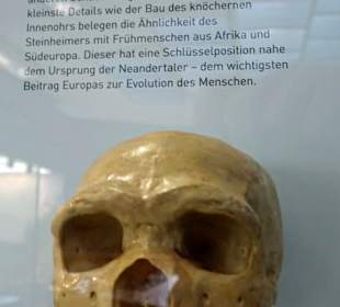 Nachbildung Urmensch