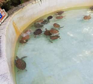 Freizeitpark Xcaret