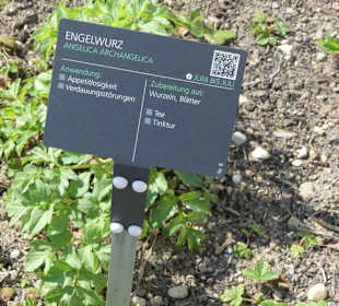 Erläuterungen der Kräuter
