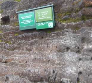 Felsenburg Neurathen