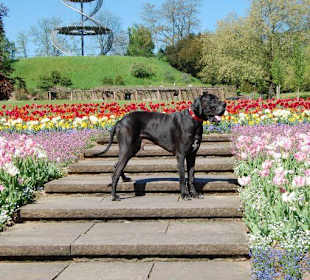 Höhenpark im Frühsommer