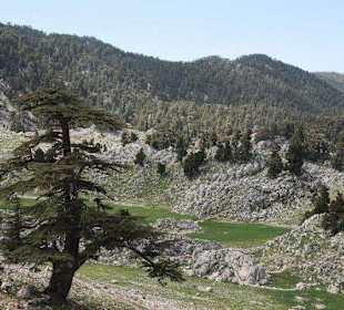 Landschaft bei der Çukur Yayla (Alm)