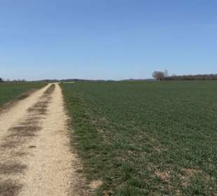 Premiumwanderweg "hochgeblickt"