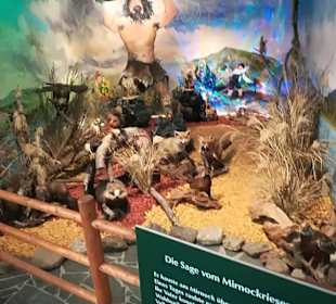 Alpen Wildpark Feld am See