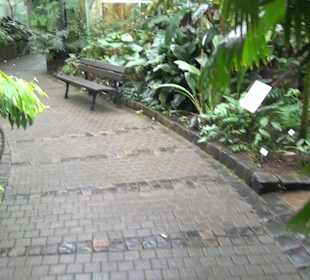 Tropicarium - Feuchte Tropen
