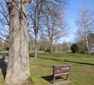 Unterwegs im Park der Wehranlagen Schweinfurt