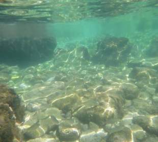 Rovinia-Beach. In Corfu gibt's fast keine Tierwelt