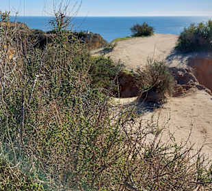 Seven Hanging Valleys Trail 