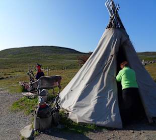 W drodze na przylądek Północny