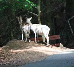Was es da wohl zu sehen gibt...