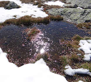 Ausflüg nach Obertauern/Oben