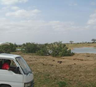Tsavo Ost