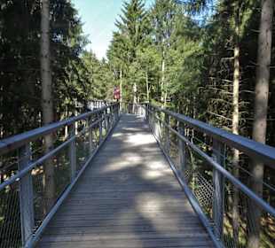 Auf dem Baumwipfelpfad Heide Himmel