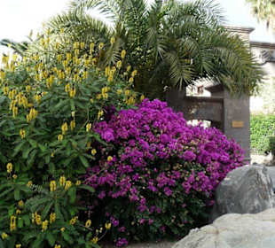 Hoteleingang in Maspalomas