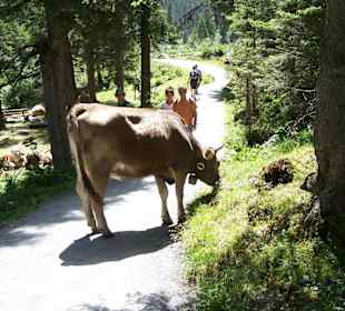 Krimmelské vodopády