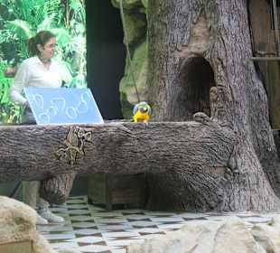 Loro Show - Weltkarte