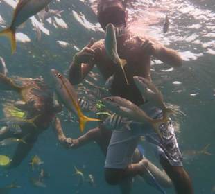 Schnorcheln Isla Paraiso