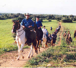 Rancho Grande (Nofrills - Excursions)