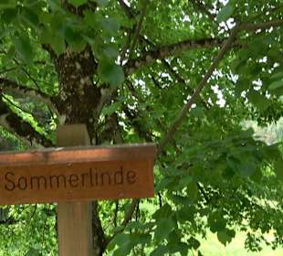 Waldlehrpfad in Tieringen