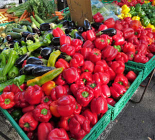 Impressionen vom Marché Cassanyes
