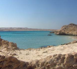 Mehr erleben mit Delfinausflug mit MO!