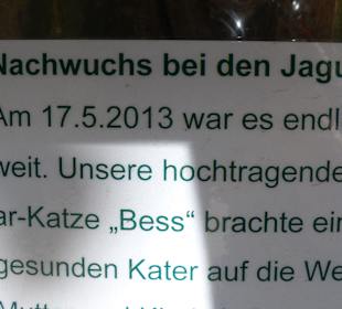 Nachwuchs-Info