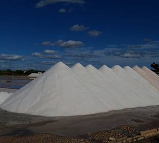 Salines