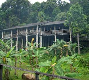 Haus der Orang Ulu