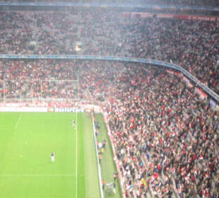 Allianz Arena 2007