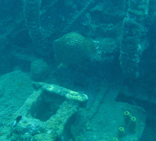 St. Lucia / Wrack Leslie M.