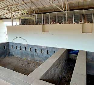 Iglesia y Convento Santo Domingo Qorikancha