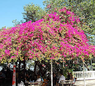 Wat Phrathat Doi Suthep