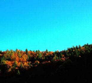 Pottensteiner Gegend