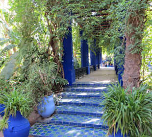 Eindrücke aus dem Jardin Majorelle Garten