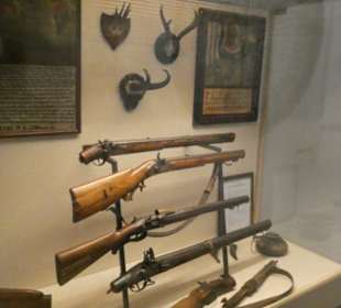 Im Museum Schloss Adelsheim