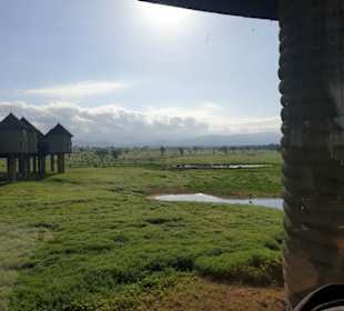 Saltlick-Lodge.Traumhaft. Mit eigenem Wasserloch