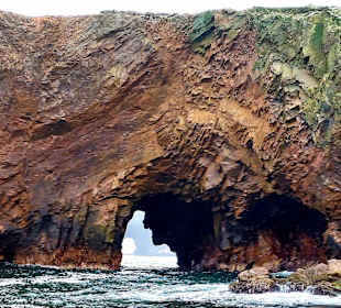Ausflug Ballestas Inseln