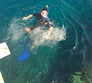 Schnorcheln am Hausriff wie in einen Aquarium