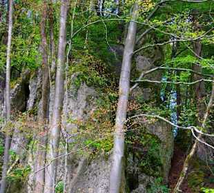 Wanderung zum Bärenfels