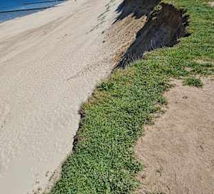 Strand Rewal