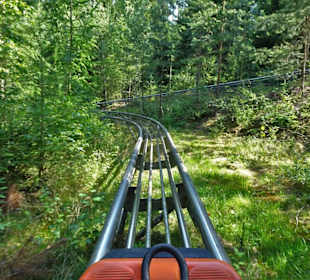 Impressionen von der Strecke der Sommerrodelbahn