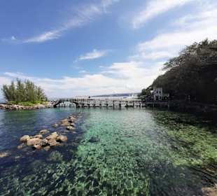 Jamaika - Ausflug Dolphin Cove